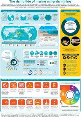 Seabed Mining and Approaches to Governance of the Deep Seabed